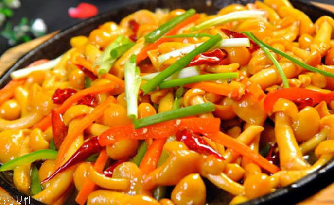 滑子菇野生和滑子菇養(yǎng)殖的區(qū)別 野生滑子菇的好嗎？