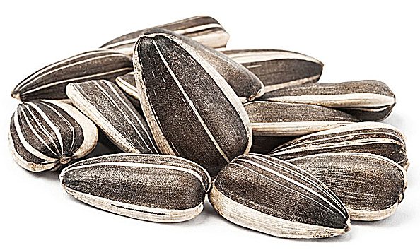 葵瓜子是什么？葵瓜子是什么瓜的子？