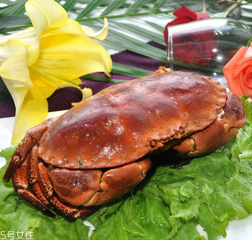 面包蟹是淡水還是海水？面包蟹長在淡水還是海水？