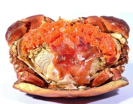 面包蟹是淡水還是海水？面包蟹長在淡水還是海水？