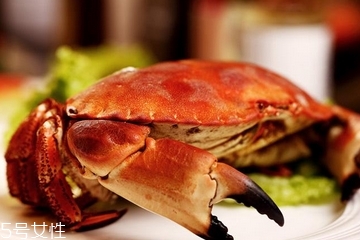 面包蟹是蒸還是煮？面包蟹蒸好吃還是煮好吃？