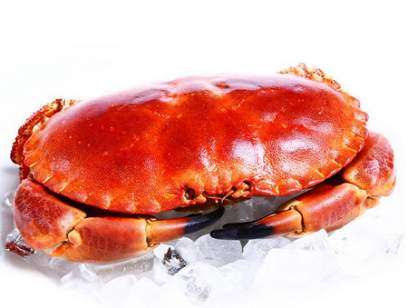 面包蟹是蒸還是煮？面包蟹蒸好吃還是煮好吃？