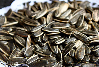 葵瓜子能種向日葵嗎？葵瓜子怎么種出向日葵？