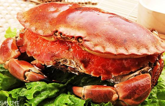 面包蟹能冷凍嗎？面包蟹可以放冰箱嗎？