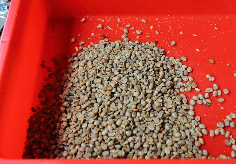 咖啡豆新豆、舊豆、老豆各有什么特色