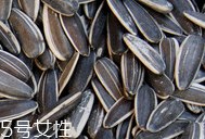 葵瓜子的熱量 葵瓜子會(huì)長(zhǎng)胖嗎？