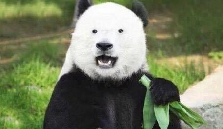 激光去黑眼圈多久恢復？激光除黑眼圈多久見效