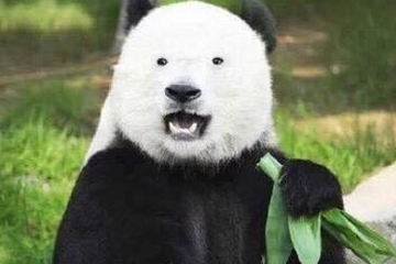 激光去黑眼圈術(shù)前注意事項(xiàng) 激光去黑眼圈術(shù)后注意事項(xiàng) 激光去黑眼圈術(shù)前注意事項(xiàng) 激光去黑眼圈術(shù)后注意事項(xiàng)