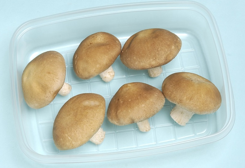 新鮮香菇怎么保存 香菇的保存方法 新鮮香菇怎么保存 香菇的保存方法