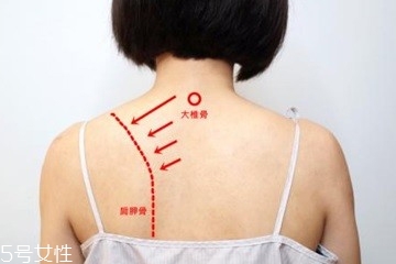 上班族肩頸酸痛怎么按摩 肩頸酸痛5步驟圖解 上班族肩頸酸痛怎么按摩 肩頸酸痛5步驟圖解