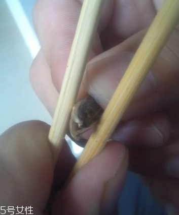 葵瓜子怎么剝？葵瓜子怎么剝不傷手?