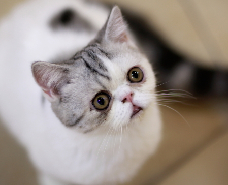 上瞼下垂矯正后遺癥 上瞼下垂矯正注意事項(xiàng) 上瞼下垂矯正后遺癥 上瞼下垂矯正注意事項(xiàng)