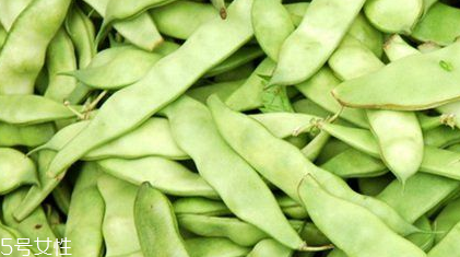 蕓豆是什么？蕓豆是豆角嗎？