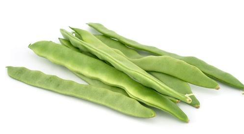 蕓豆和白蕓豆的區(qū)別 蕓豆和白蕓豆的功效 蕓豆和白蕓豆的區(qū)別 蕓豆和白蕓豆的功效