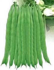 蕓豆能生吃嗎？蕓豆生吃會(huì)怎樣？