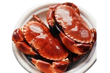 面包蟹為什么那么難吃？為什么說面包蟹很難吃？