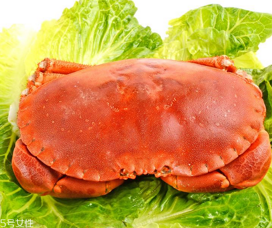 面包蟹肉多嗎？面包蟹幾月份最肥