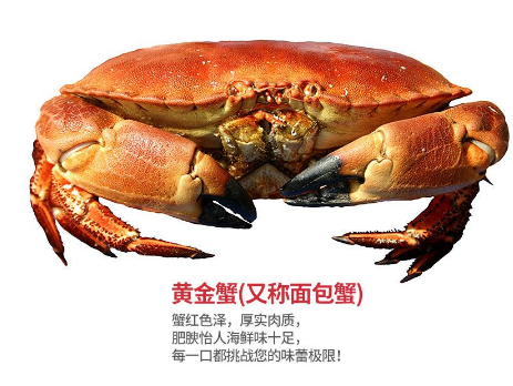 面包蟹肉多嗎？面包蟹幾月份最肥