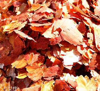 花生衣是什么？花生衣可以吃嗎？