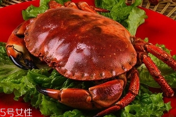 面包蟹熱量高嗎？一只面包蟹的熱量