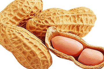 花生衣怎么吃補(bǔ)血小板？花生衣怎么吃補(bǔ)白細(xì)胞？