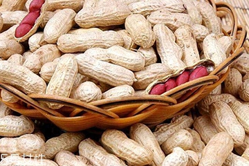 花生衣是生的還是熟的？花生衣生的好還是熟的好？