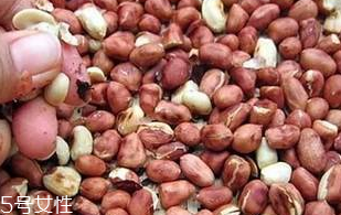 花生衣和花生衣粉的區(qū)別 花生衣粉難吃嗎？