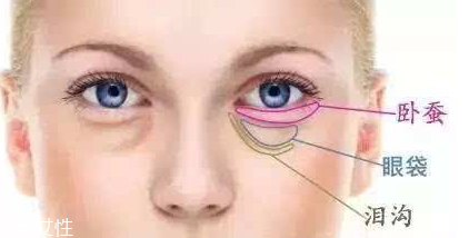淚溝型黑眼圈怎么遮瑕 淚溝型黑眼圈的遮瑕方法 淚溝型黑眼圈怎么遮瑕 淚溝型黑眼圈的遮瑕方法