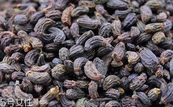 女貞子是藥物嗎？女貞子是做什么的？