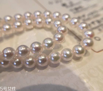 珍珠項(xiàng)鏈多少錢？珍珠項(xiàng)鏈真品價(jià)格