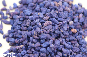 女貞子和枸杞子能一起吃嗎？女貞子和枸杞子一起吃有什么效果？