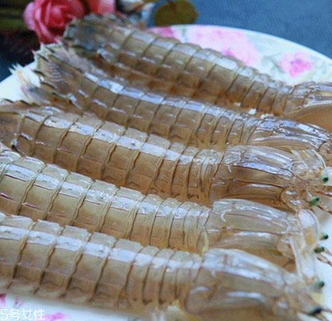 皮皮蝦能長多大？皮皮蝦最大有多大？