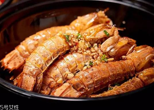 皮皮蝦能長多大？皮皮蝦最大有多大？