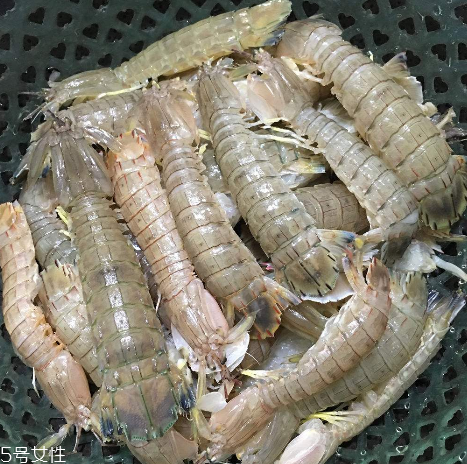 皮皮蝦能和櫻桃一起吃嗎？皮皮蝦和櫻桃可以同吃嗎？