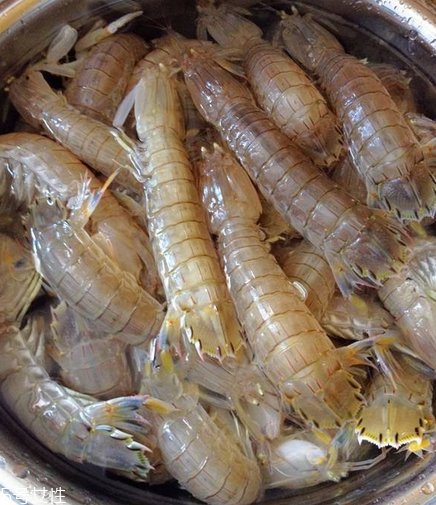 皮皮蝦能和荔枝一起吃嗎？皮皮蝦可以和荔枝同吃嗎？