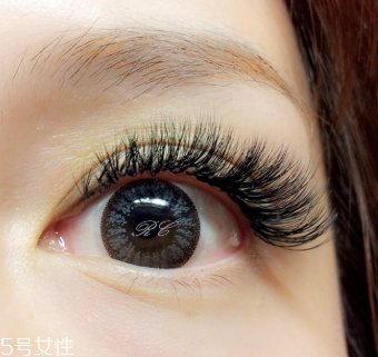 接睫毛后真睫毛掉了怎么回事 接睫毛有什么壞處 接睫毛后真睫毛掉了怎么回事 接睫毛有什么壞處