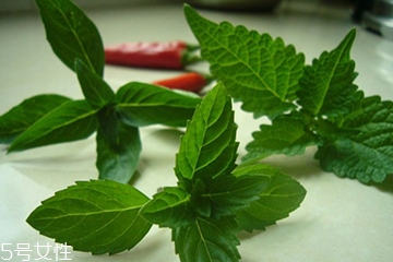 藿香和頭孢能一起吃嗎？藿香和頭孢能一起吃嗎？