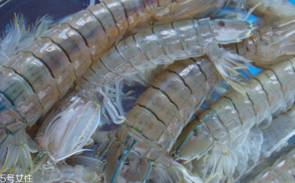 皮皮蝦皮能不能吃？皮皮蝦可以連皮吃嗎？