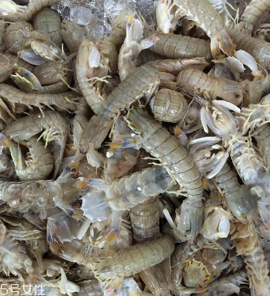 皮皮蝦是海鮮嗎？皮皮蝦是海鮮還是河鮮？