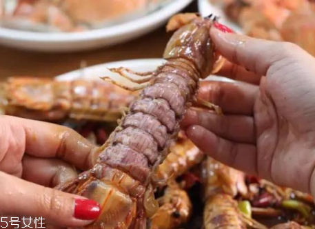 皮皮蝦是海鮮嗎？皮皮蝦是海鮮還是河鮮？