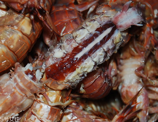 皮皮蝦分公母嗎？皮皮蝦怎么分公母？