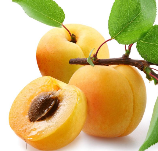 梅花能和雞蛋一起吃嗎？梅花不能和什么一起吃