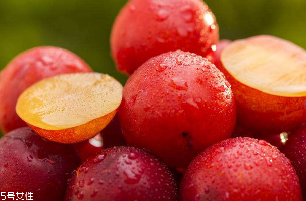 梅花是發(fā)物嗎？皮膚過(guò)敏的人能喝梅花茶嗎？