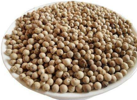 白胡椒能代替黑胡椒嗎？白胡椒的營(yíng)養(yǎng)價(jià)值