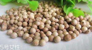 白胡椒能代替黑胡椒嗎？白胡椒的營(yíng)養(yǎng)價(jià)值