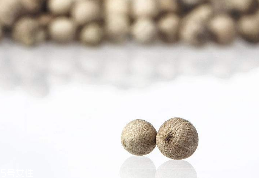 白胡椒的種植 白胡椒怎么種植？