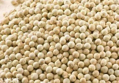 白胡椒是辣椒嗎？白胡椒辣嗎？