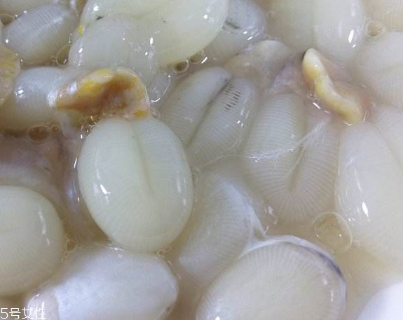 墨魚蛋的做法 墨魚蛋怎么做？