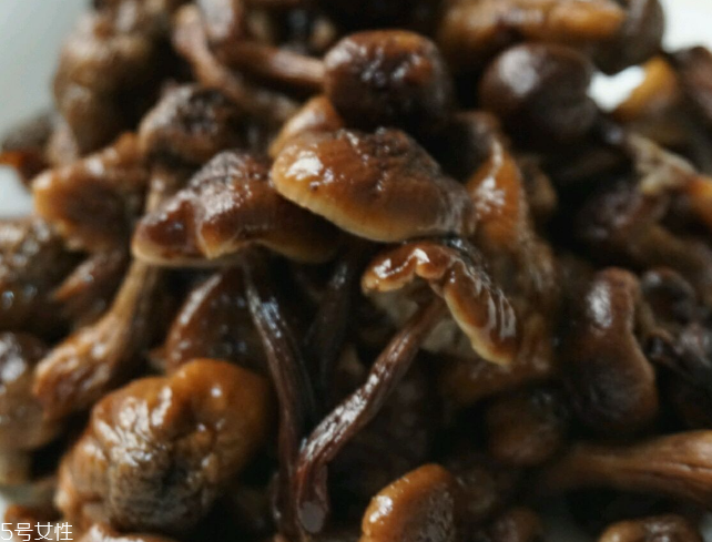 榛蘑能和雞一起吃嗎？榛蘑和雞一起吃的好處