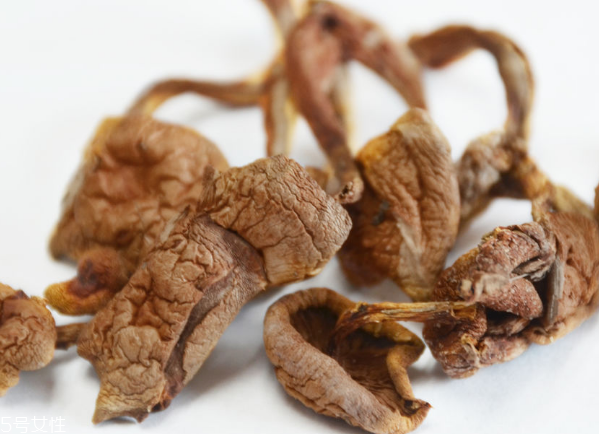 榛蘑和蘿卜相克嗎？榛蘑能不能和蘿卜一起吃？